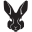 Rabbit1